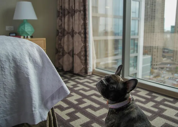 Homewood By Hilton West Loop Fulton Mkt Area 3*